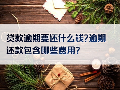 贷款逾期要还什么钱？逾期还款包含哪些费用？