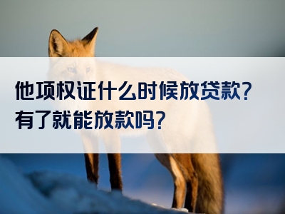 他项权证什么时候放贷款？有了就能放款吗？