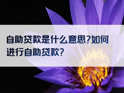 自助贷款是什么意思？如何进行自助贷款？