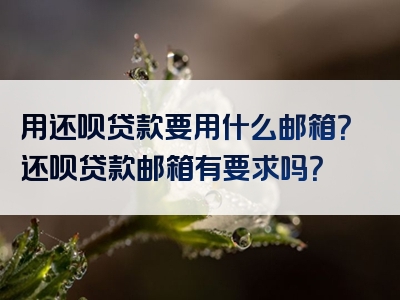 用还呗贷款要用什么邮箱？还呗贷款邮箱有要求吗？