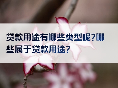 贷款用途有哪些类型呢？哪些属于贷款用途？