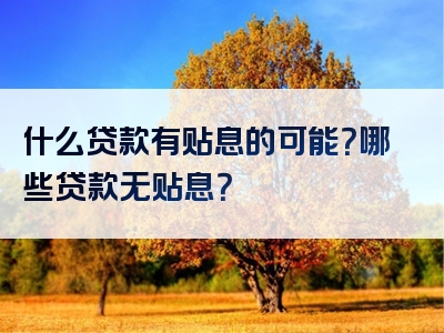 什么贷款有贴息的可能？哪些贷款无贴息？