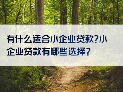 有什么适合小企业贷款？小企业贷款有哪些选择？