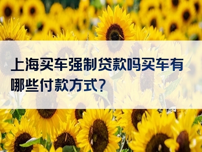 上海买车强制贷款吗买车有哪些付款方式？