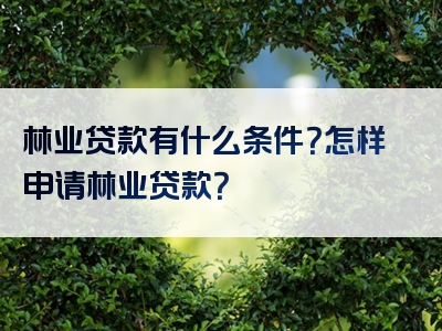 林业贷款有什么条件？怎样申请林业贷款？