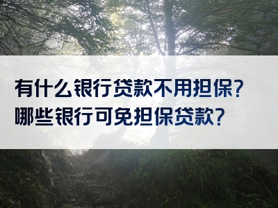 有什么银行贷款不用担保？哪些银行可免担保贷款？