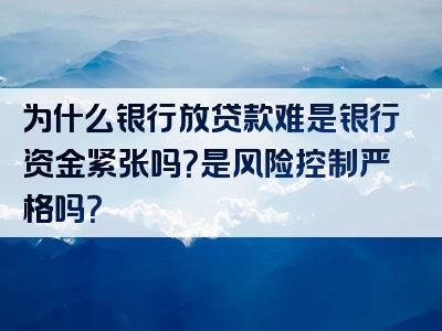 为什么银行放贷款难是银行资金紧张吗？是风险控制严格吗？