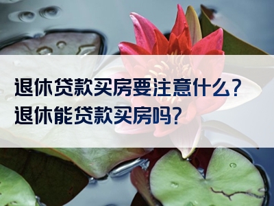 退休贷款买房要注意什么？退休能贷款买房吗？