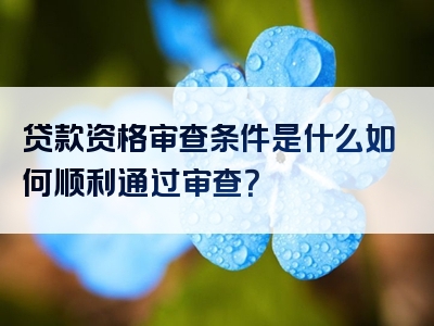 贷款资格审查条件是什么如何顺利通过审查？