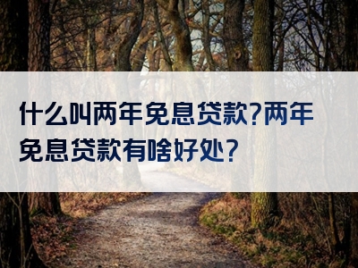 什么叫两年免息贷款？两年免息贷款有啥好处？