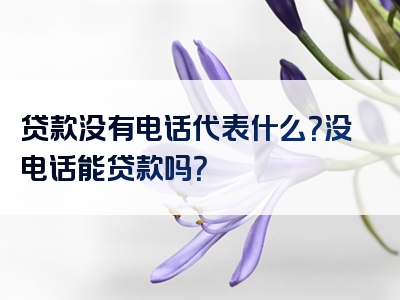 贷款没有电话代表什么？没电话能贷款吗？