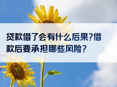 贷款借了会有什么后果？借款后要承担哪些风险？