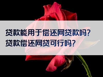 贷款能用于偿还网贷款吗？贷款偿还网贷可行吗？