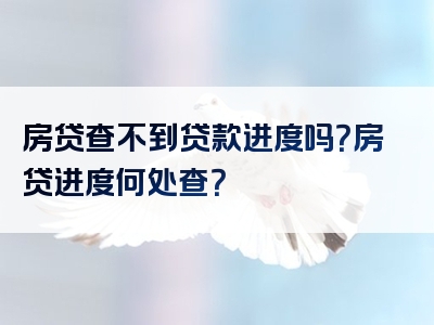 房贷查不到贷款进度吗？房贷进度何处查？