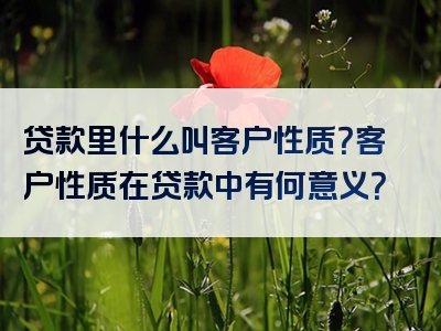 贷款里什么叫客户性质？客户性质在贷款中有何意义？