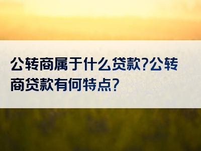 公转商属于什么贷款？公转商贷款有何特点？