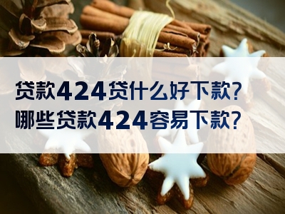 贷款424贷什么好下款？哪些贷款424容易下款？