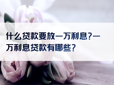 什么贷款要放一万利息？一万利息贷款有哪些？