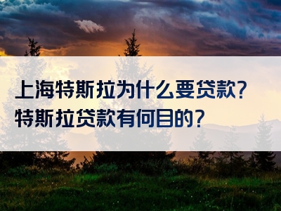 上海特斯拉为什么要贷款？特斯拉贷款有何目的？