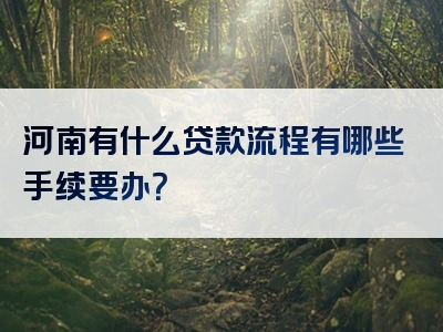 河南有什么贷款流程有哪些手续要办？