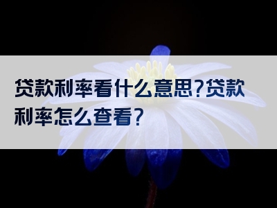 贷款利率看什么意思？贷款利率怎么查看？