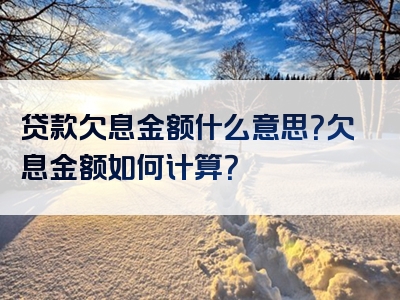 贷款欠息金额什么意思？欠息金额如何计算？