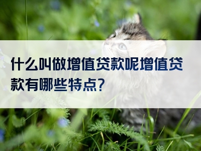 什么叫做增值贷款呢增值贷款有哪些特点？