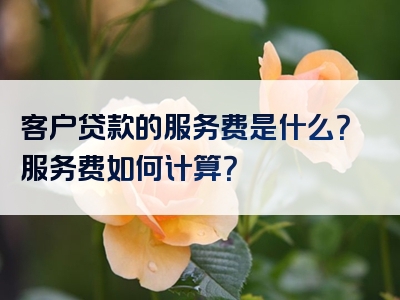 客户贷款的服务费是什么？服务费如何计算？