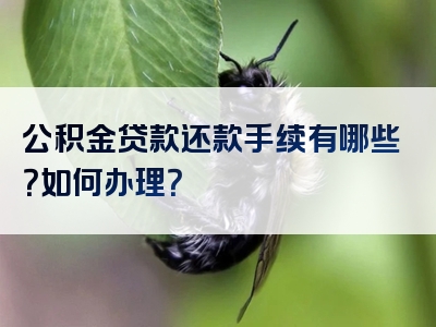 公积金贷款还款手续有哪些？如何办理？