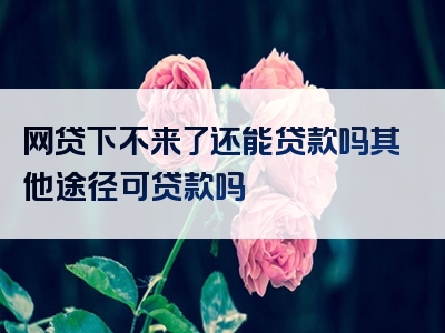 网贷下不来了还能贷款吗其他途径可贷款吗