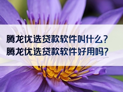 腾龙优选贷款软件叫什么？腾龙优选贷款软件好用吗？