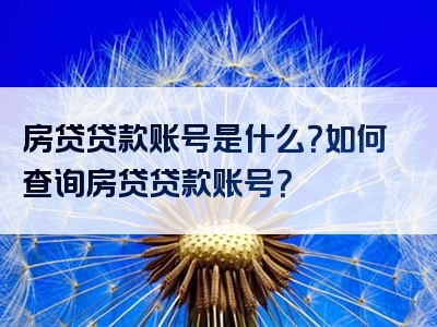 房贷贷款账号是什么？如何查询房贷贷款账号？