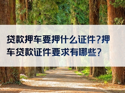 贷款押车要押什么证件？押车贷款证件要求有哪些？