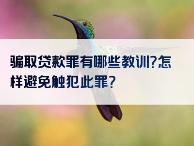 骗取贷款罪有哪些教训？怎样避免触犯此罪？