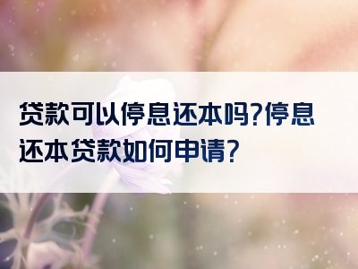 贷款可以停息还本吗？停息还本贷款如何申请？