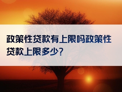 政策性贷款有上限吗政策性贷款上限多少？