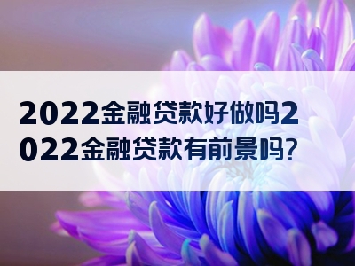 2022金融贷款好做吗2022金融贷款有前景吗？