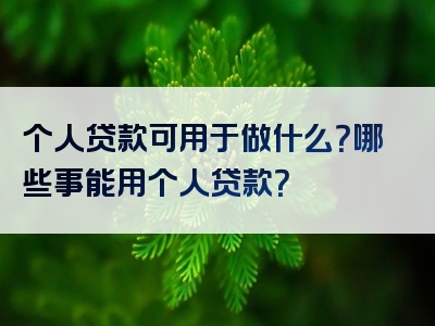 个人贷款可用于做什么？哪些事能用个人贷款？