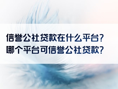 信誉公社贷款在什么平台？哪个平台可信誉公社贷款？