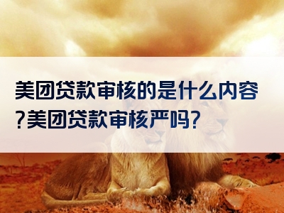 美团贷款审核的是什么内容？美团贷款审核严吗？