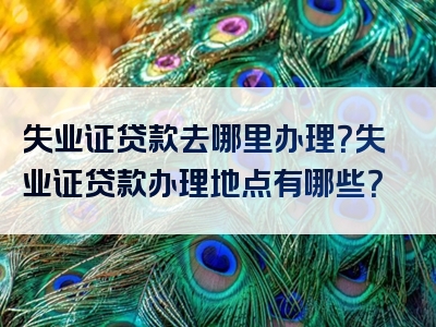 失业证贷款去哪里办理？失业证贷款办理地点有哪些？