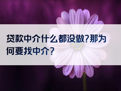 贷款中介什么都没做？那为何要找中介？