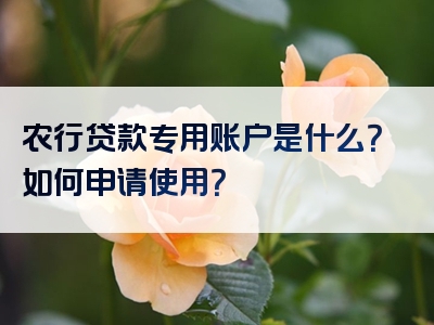 农行贷款专用账户是什么？如何申请使用？