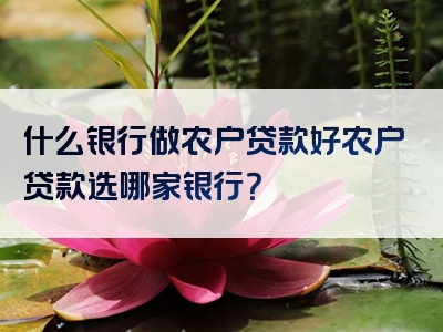 什么银行做农户贷款好农户贷款选哪家银行？