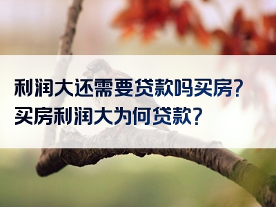 利润大还需要贷款吗买房？买房利润大为何贷款？