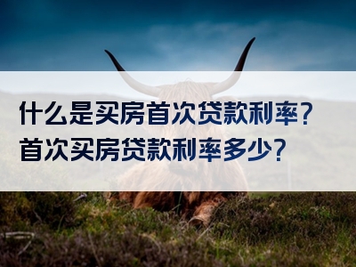 什么是买房首次贷款利率？首次买房贷款利率多少？