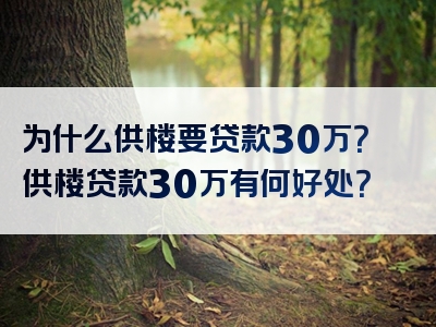 为什么供楼要贷款30万？供楼贷款30万有何好处？