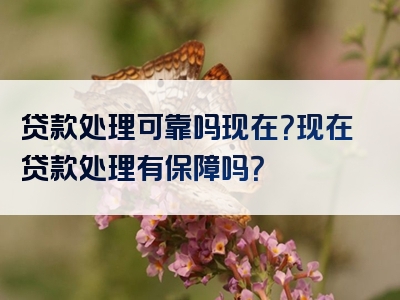 贷款处理可靠吗现在？现在贷款处理有保障吗？