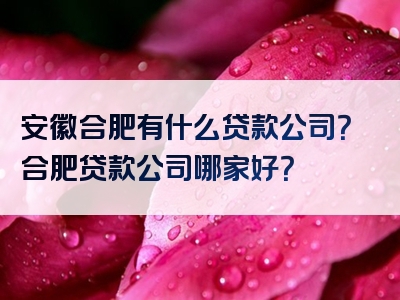 安徽合肥有什么贷款公司？合肥贷款公司哪家好？