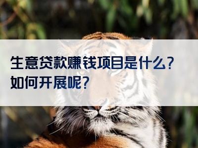 生意贷款赚钱项目是什么？如何开展呢？